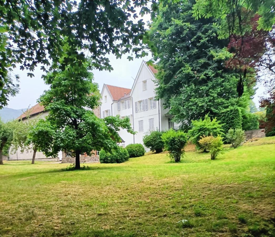 مبيت وإفطار سانت موريس سور موسيل Domaine De La Moselle المظهر الخارجي الصورة
